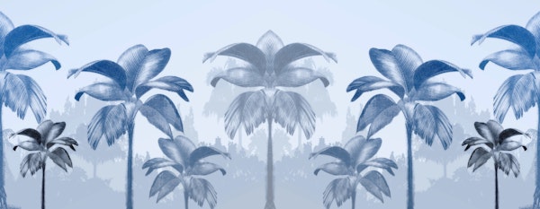 Tranquil Palm Dreamscape