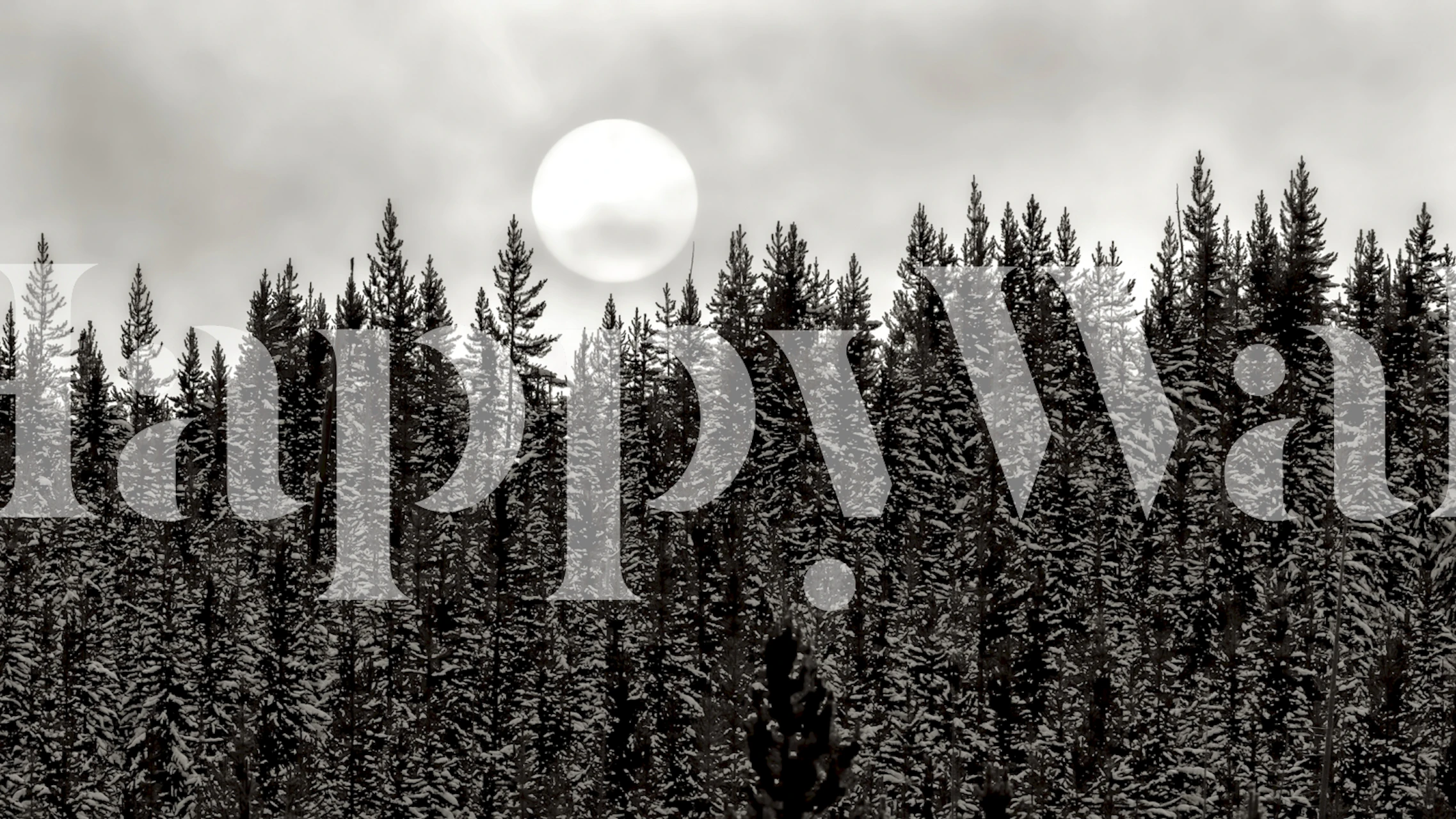 Papel de parede Cloudy Forest Black and White em um quarto