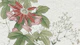 Scandinavian Vintage Florals