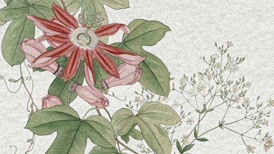 Mural