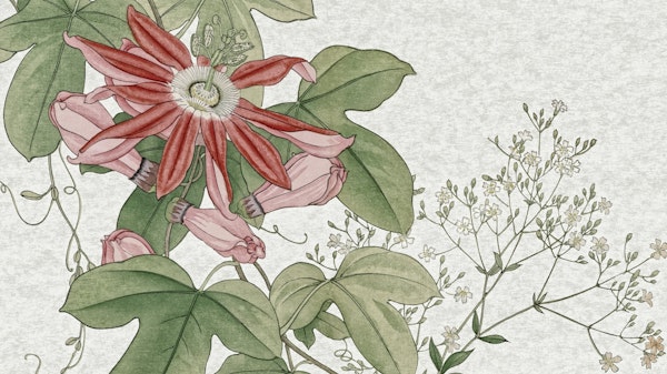 Scandinavian Vintage Florals