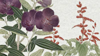 Antique Scandi Floral tapet