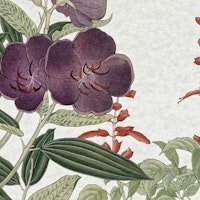 Antique Scandi Floral wallpaper