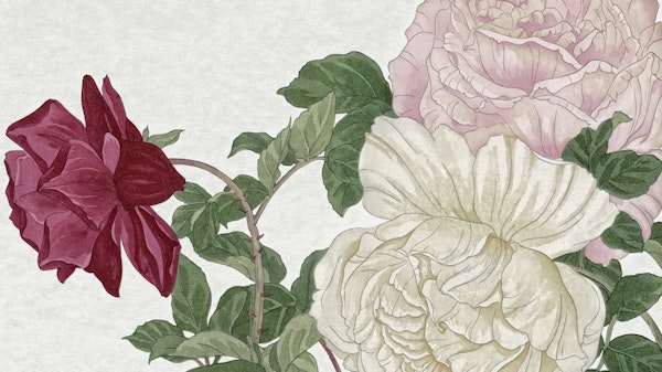 Scandinavian Vintage Peonies