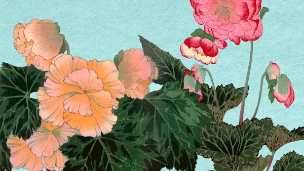 Scandi Vintage Flora