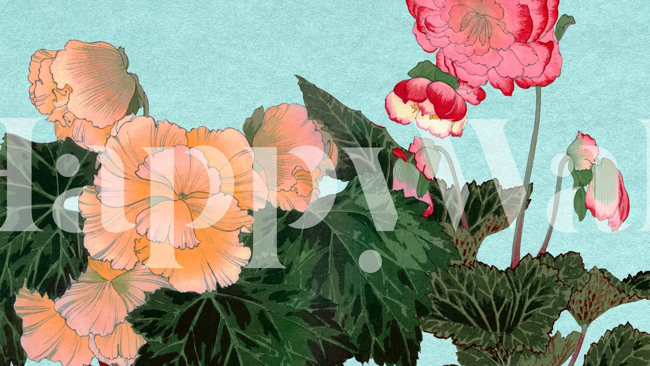 Delicate pink and orange floral wallpaper on a light blue background