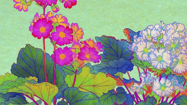 Beautiful Scandinavian Floral