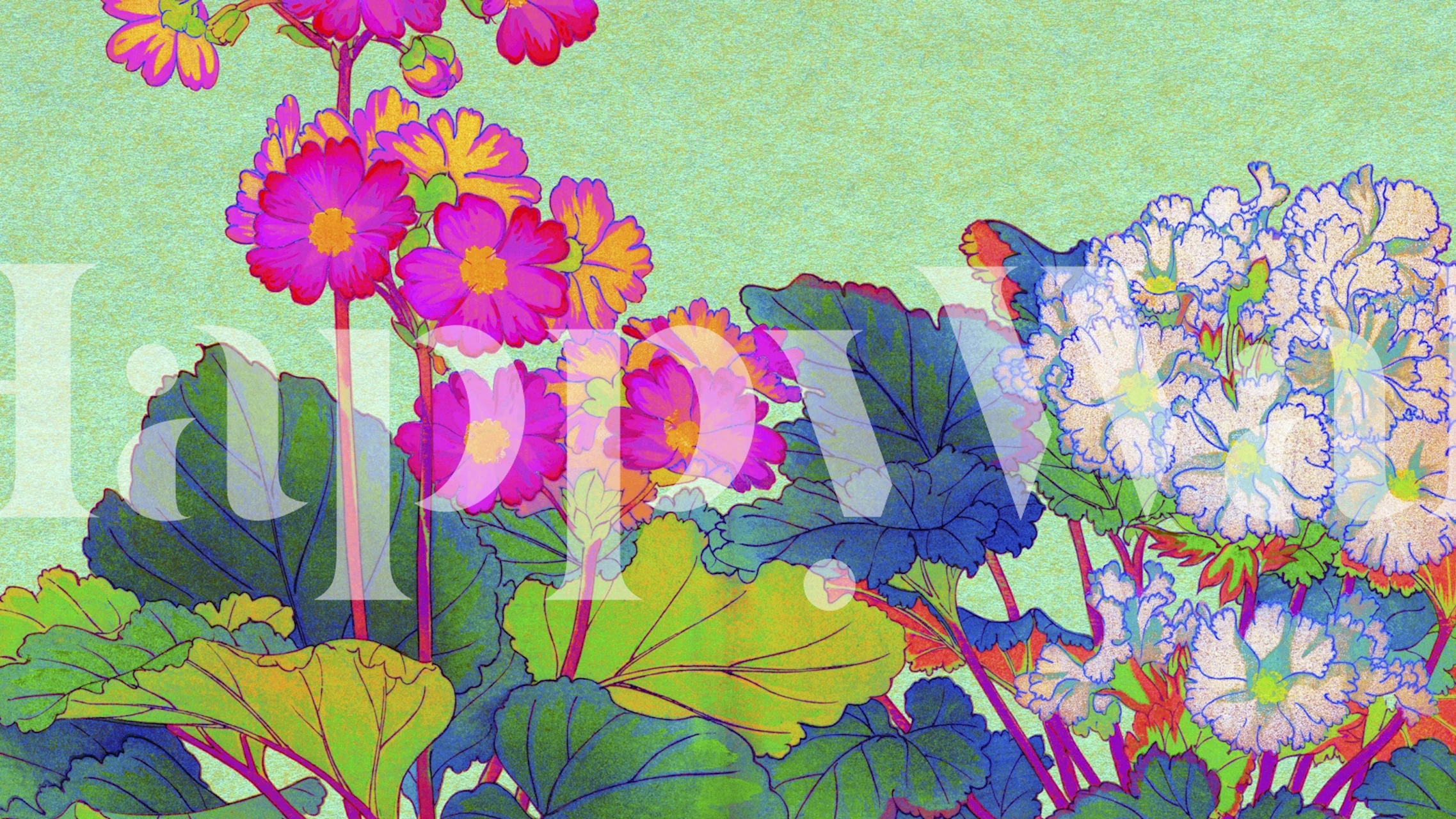 Vibrant pink and white floral wallpaper featuring colorful flowers and green leaves