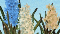 Scandinavian Painted Floral ταπετσαρία