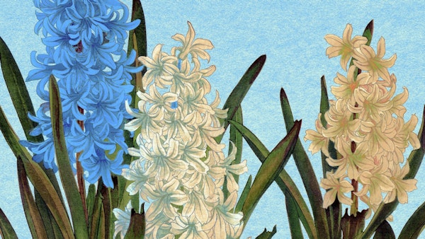 Scandinavian Painted Floral