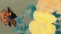 Antique Nordic Peonies tapet