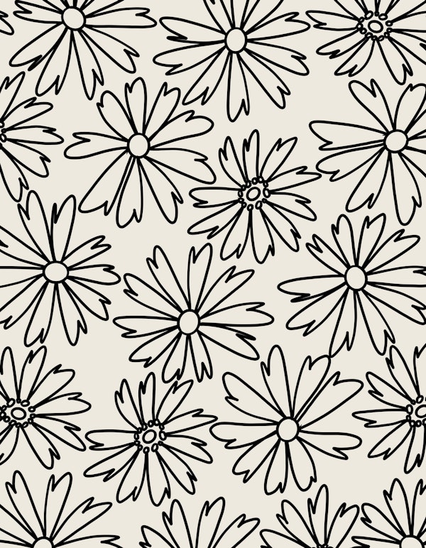 Cosmea Flower Dream 1