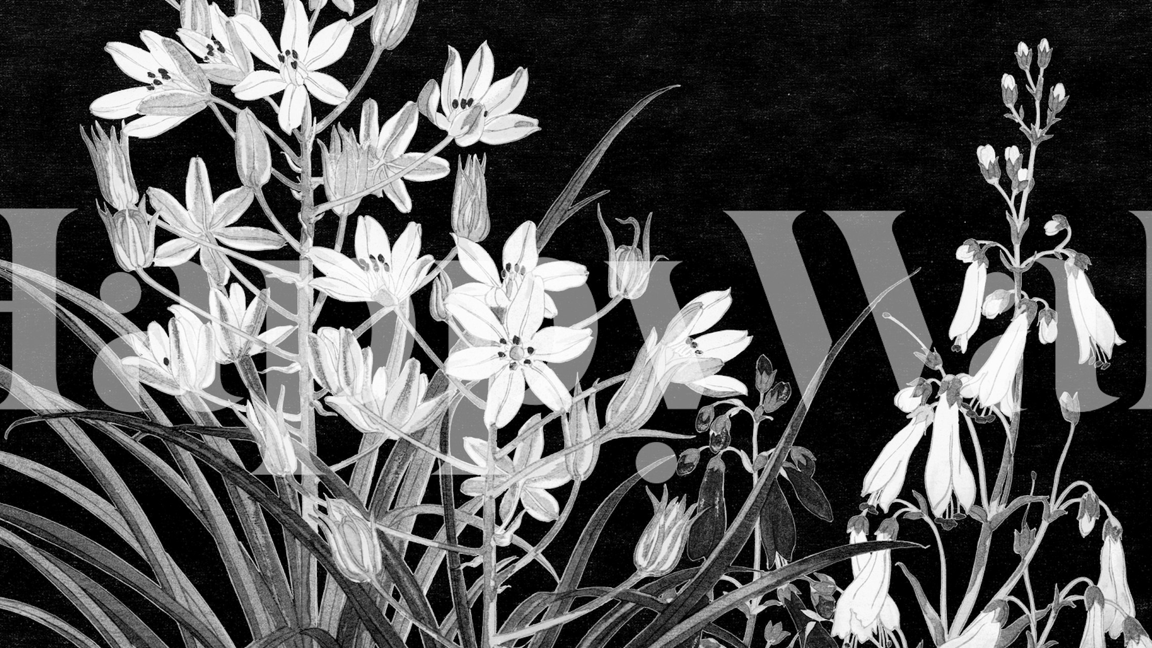 Skandinaavistyylinen kukkainen seinämaalaus yksivärisessä paletissa