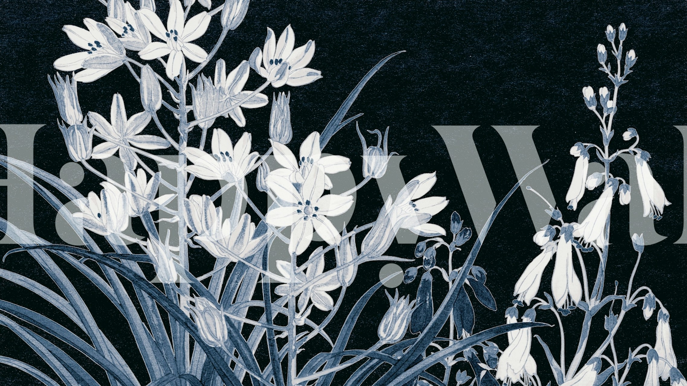 Fototapeta s květinami ve skandinávském stylu v monochromatické paletě