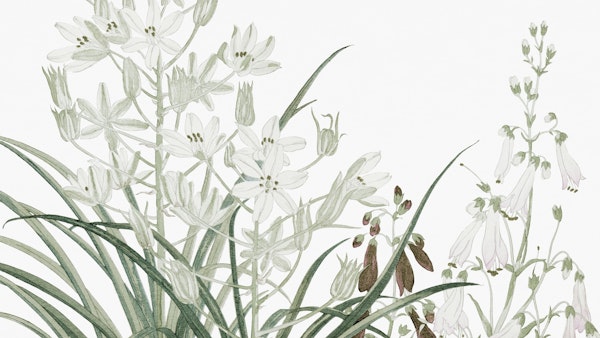 Soft Scandi Vintage Floral