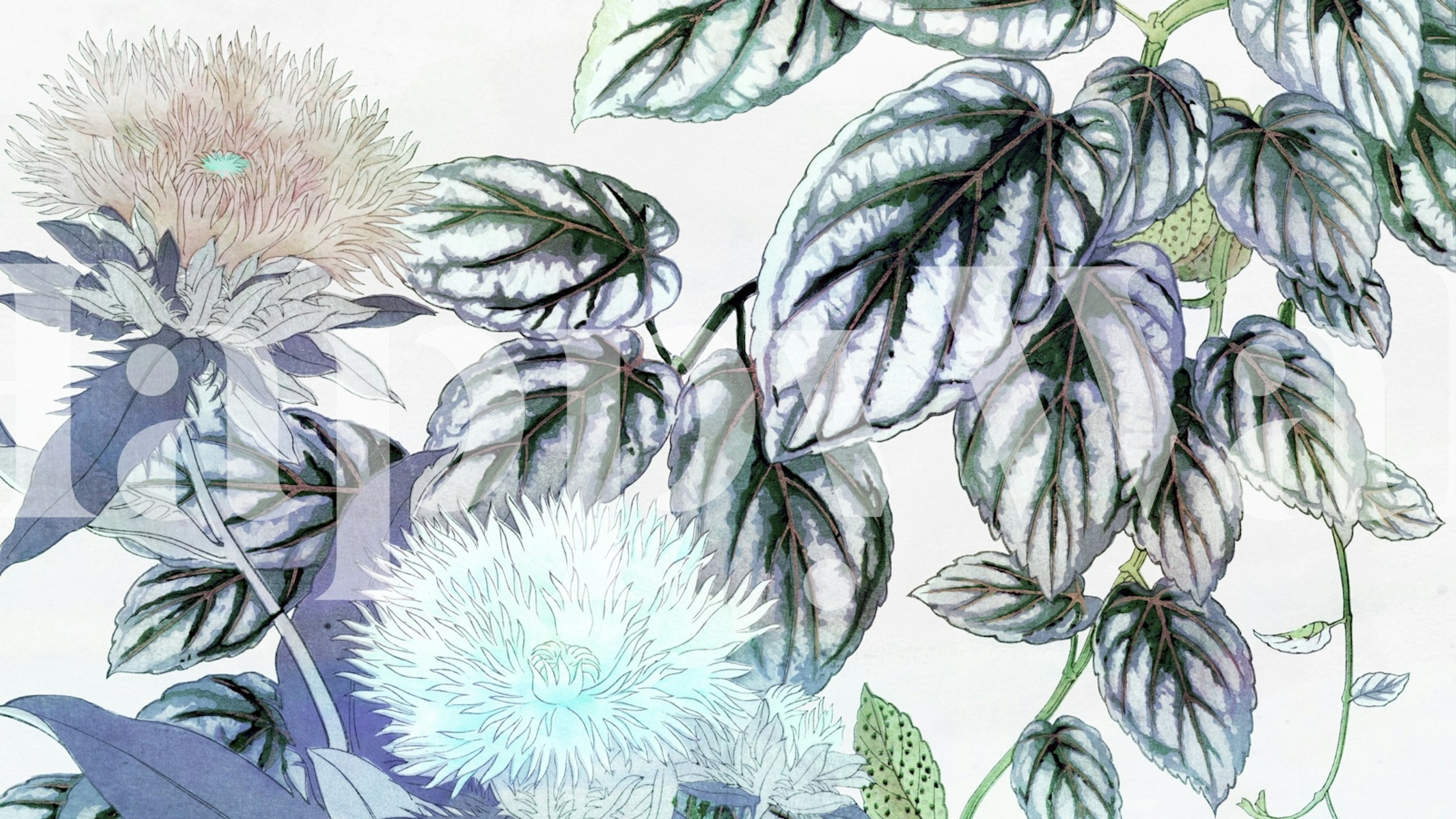 Mystic Garden-tapet visad i ett rum