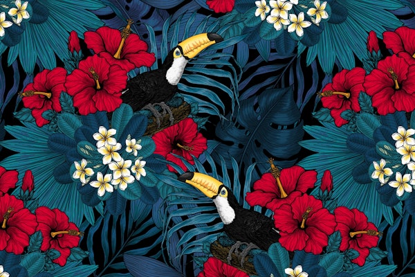 Toucans amd tropical flora 2