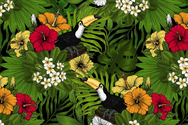 Toucans amd tropical flora 3