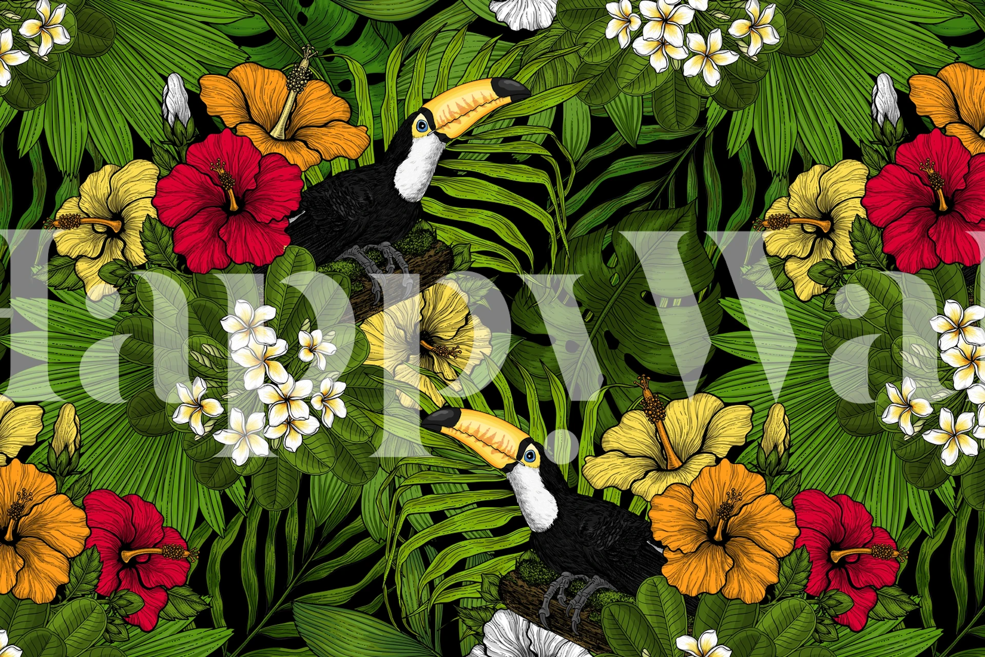 Tukaner och tropiska blommor fototapet med grönt bladverk.