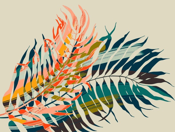 palm leaves in color