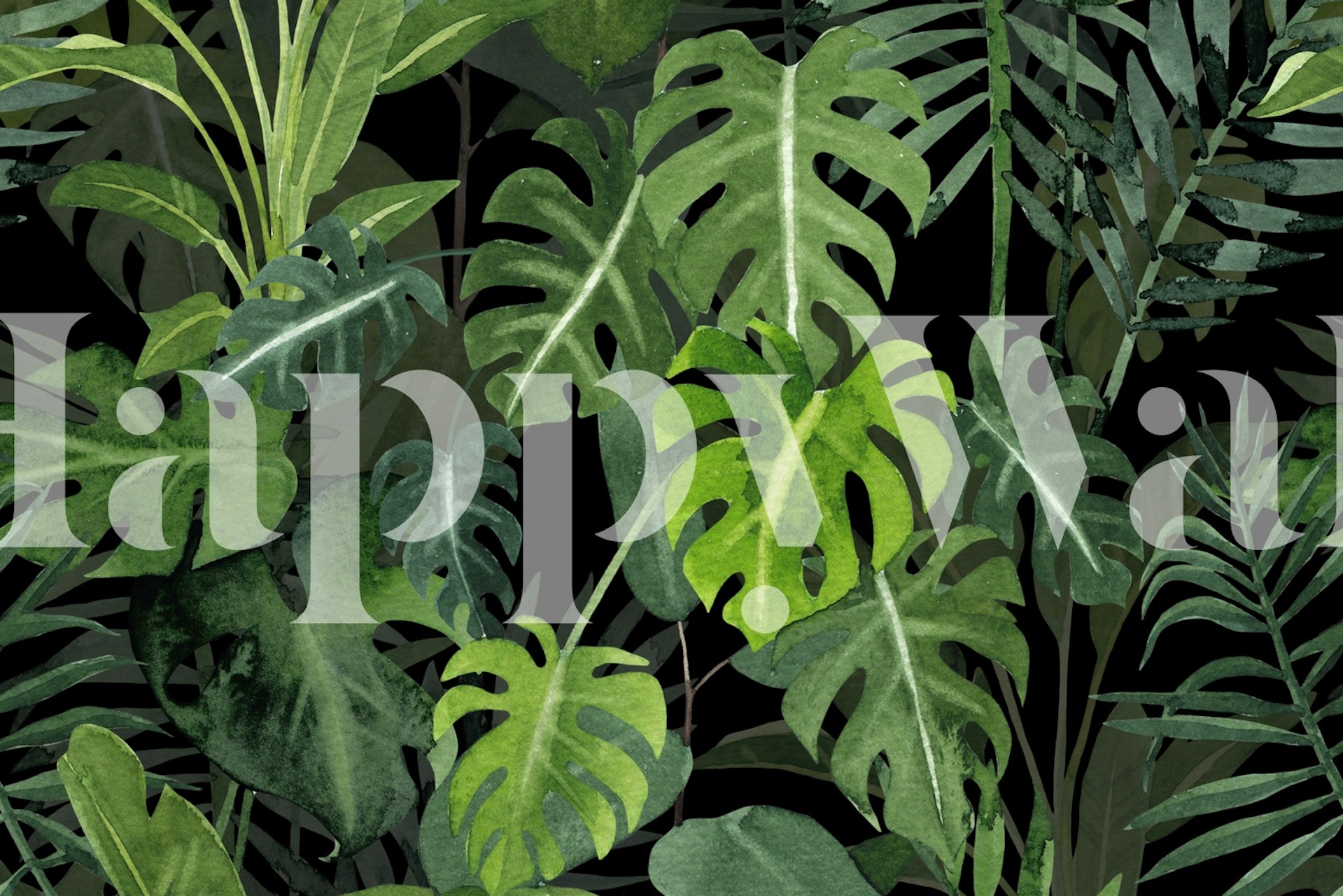Lush green tropical leaves on black background wallpaper