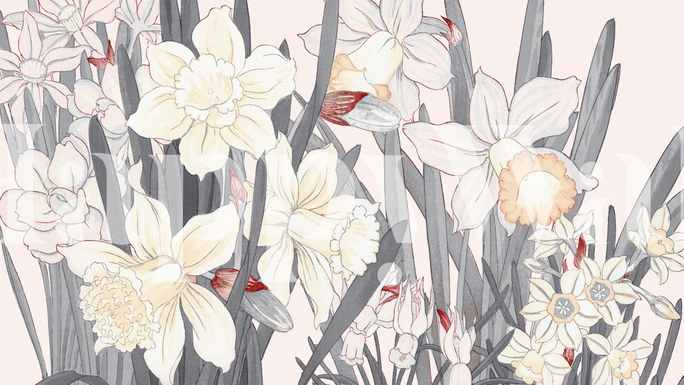 Pastel Scandinavian floral wallpaper in a room