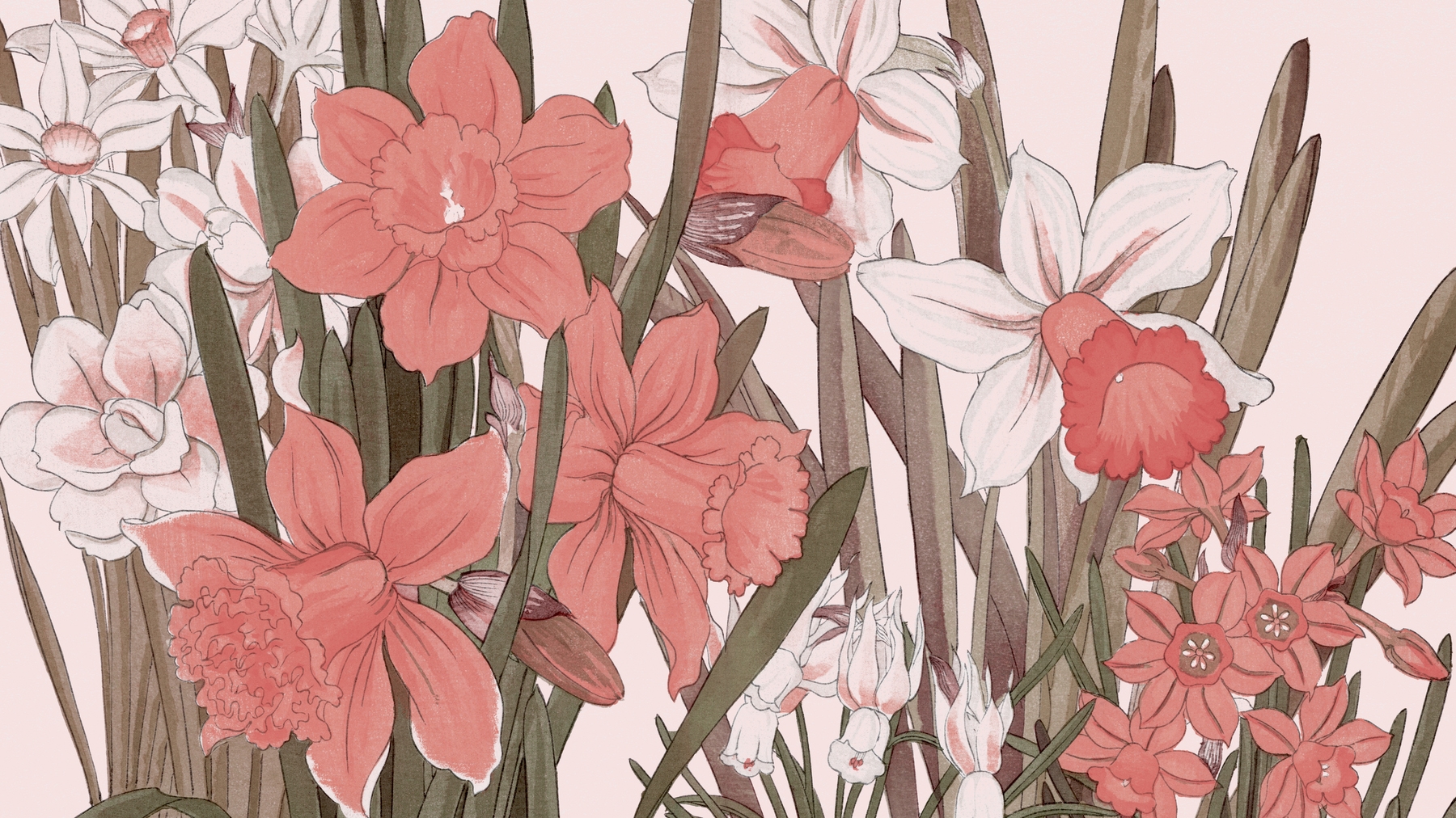 Blush Scandinavian Floral Wallpaper | Happywall