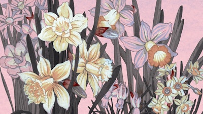 Mural