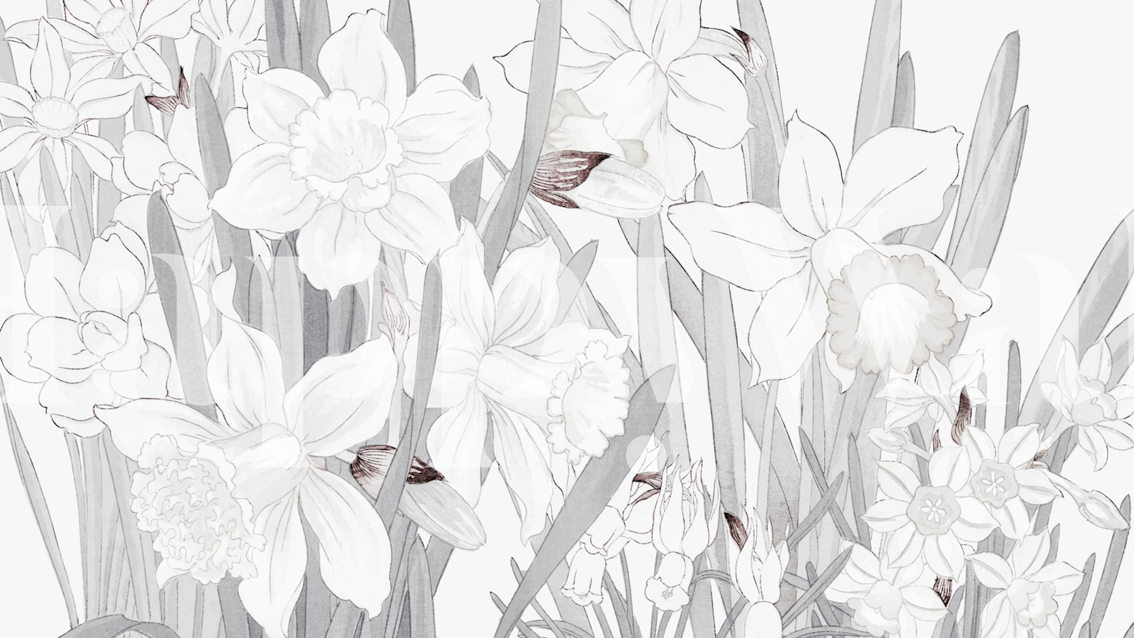Papel de parede Light Grey Scandinavian Floral em um quarto