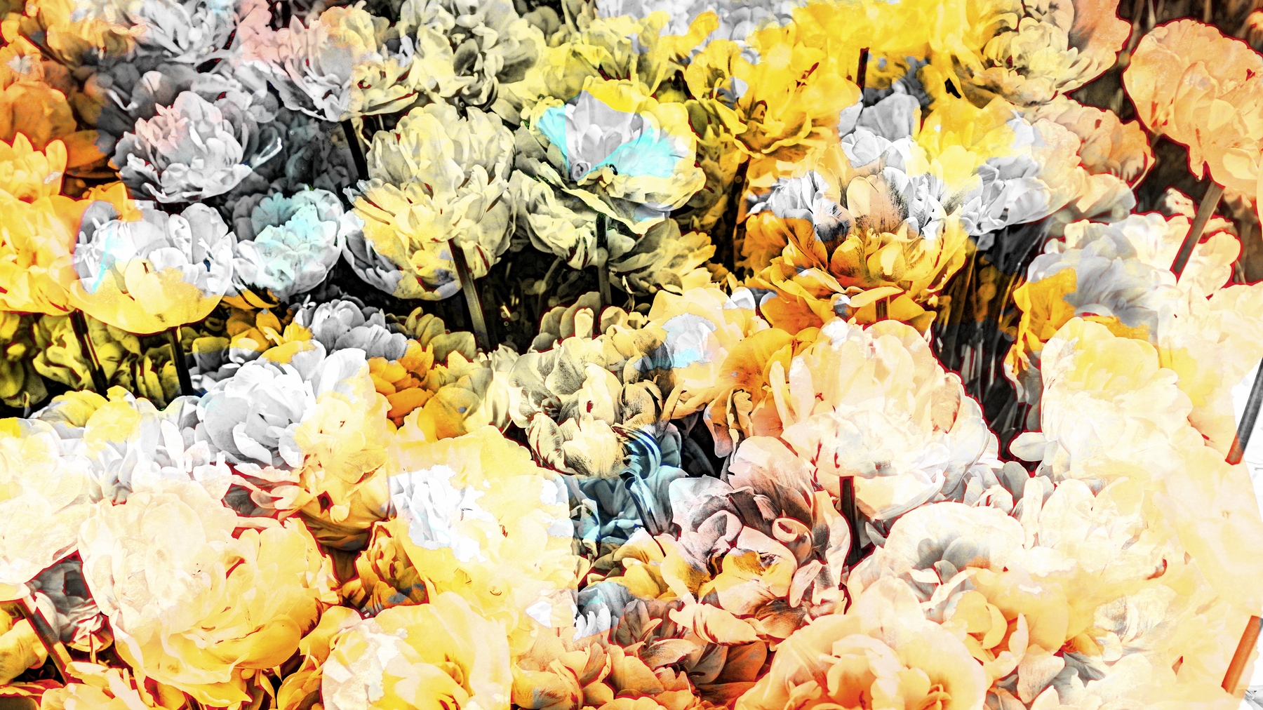 Pop Art Floral Wallpaper | Happywall