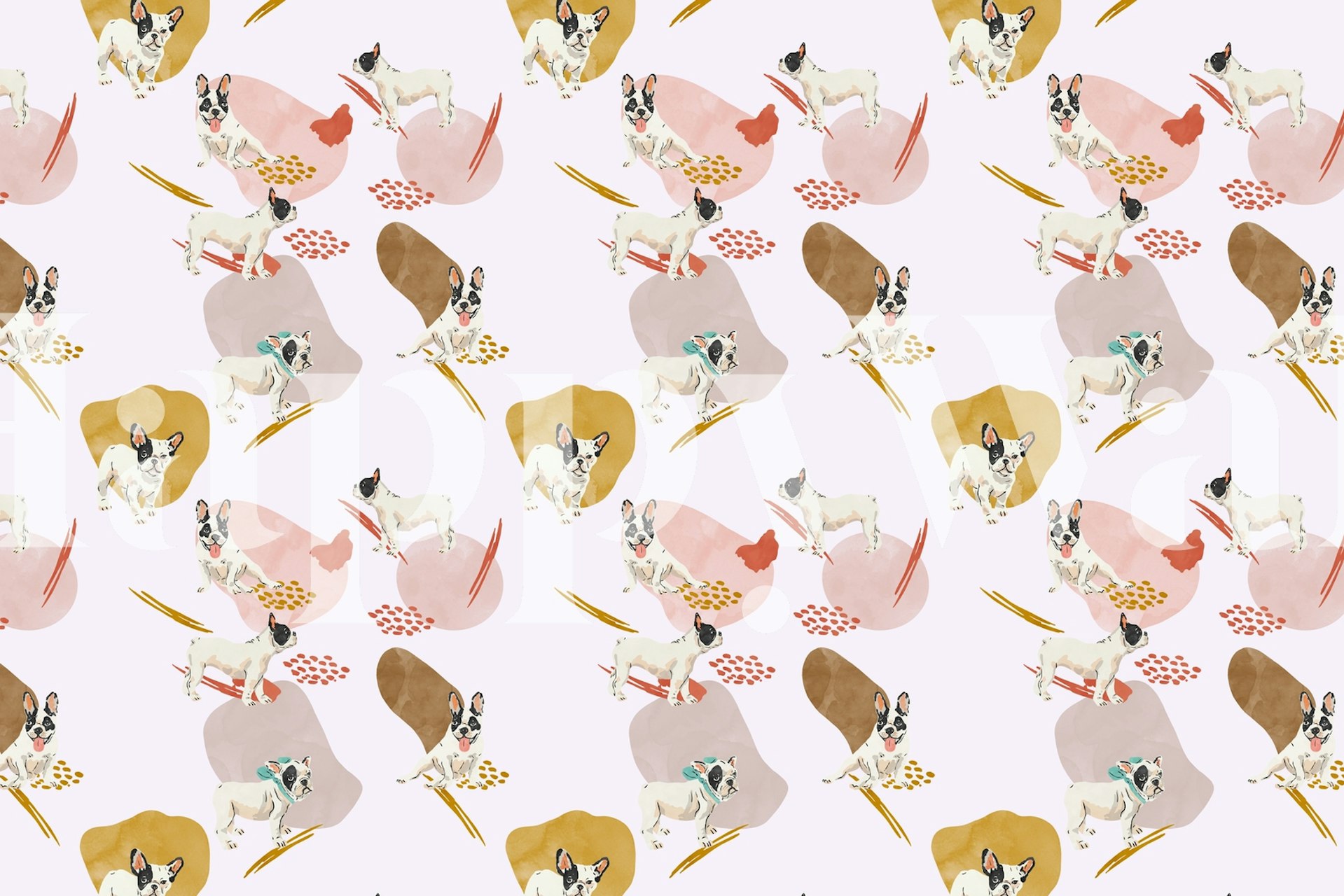 Śliczne buldogi francuskie w zabawnych pozach ze wzorem na fototapecie