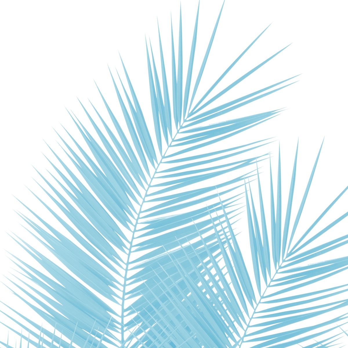 Soft Blue Palm Leaves Dream wallpaper - Happywall