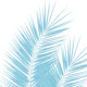 Soft Blue Palm Leaves Dream