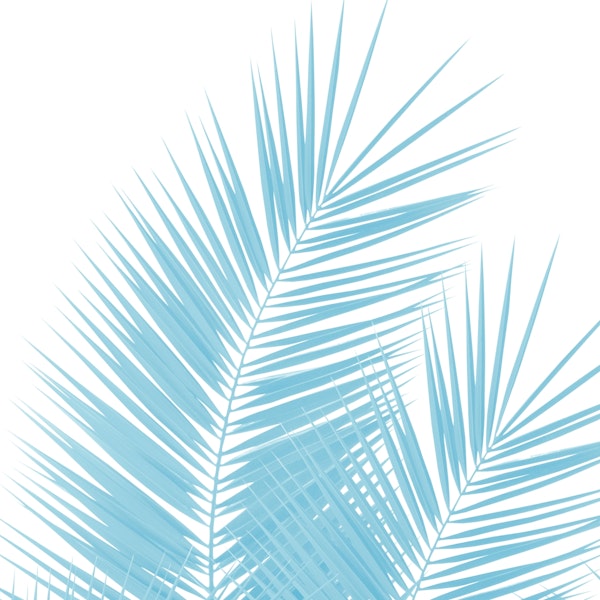 Soft Blue Palm Leaves Dream