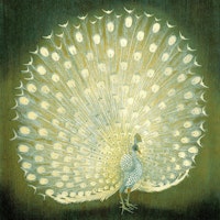 Peacock Green tapeta