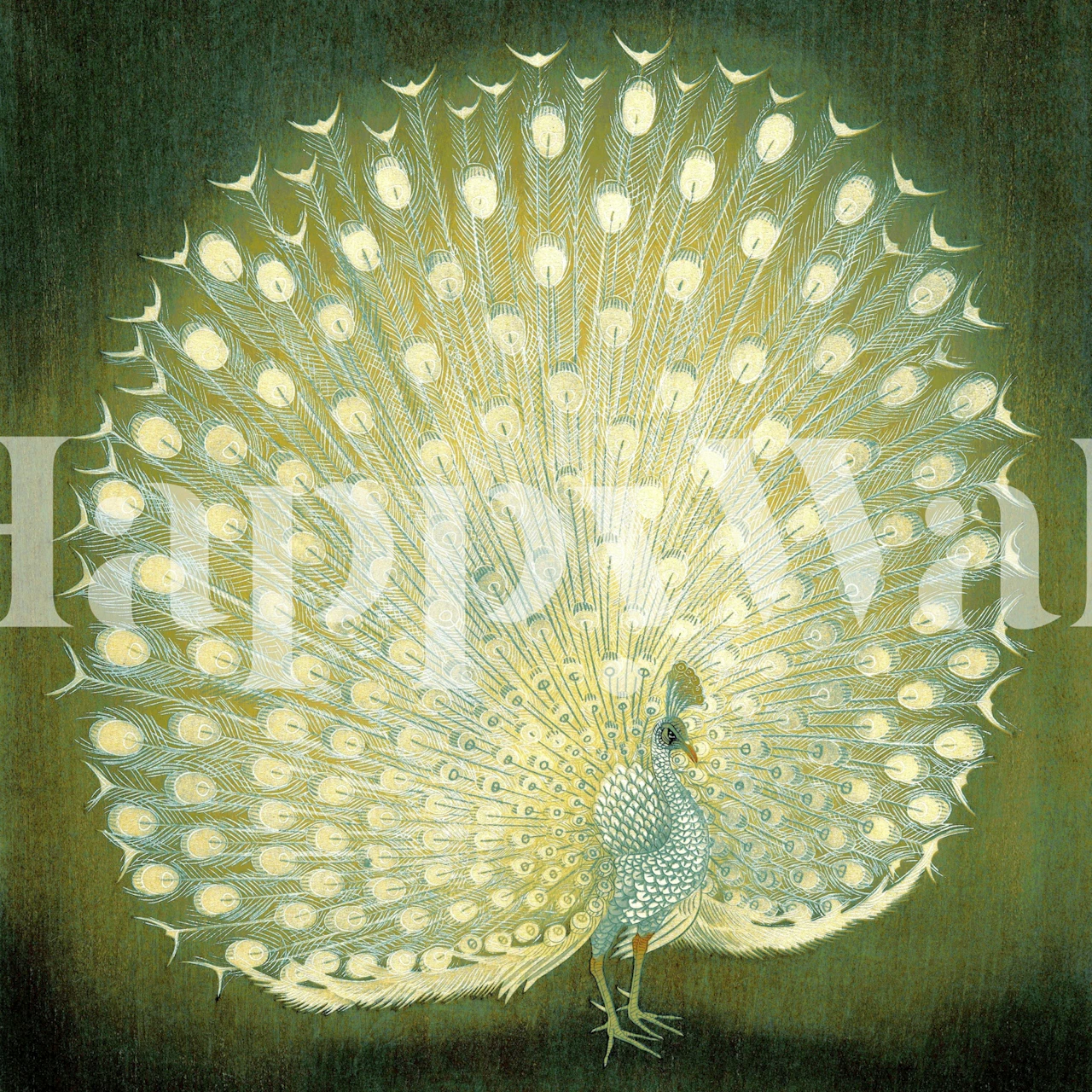 Papel tapiz Peacock Green exhibido en una habitación