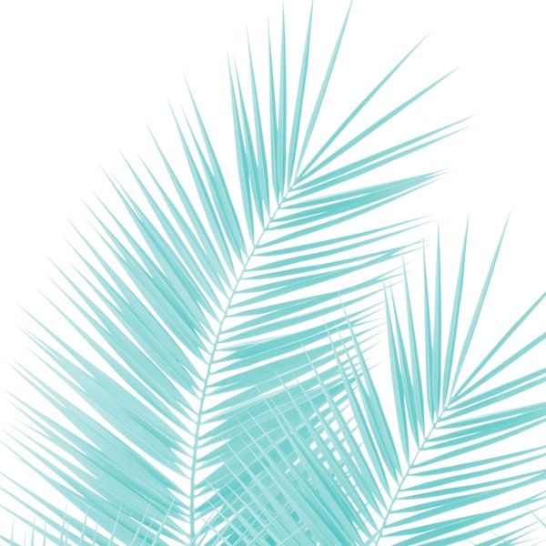 Soft Turquoise Palm Leaves