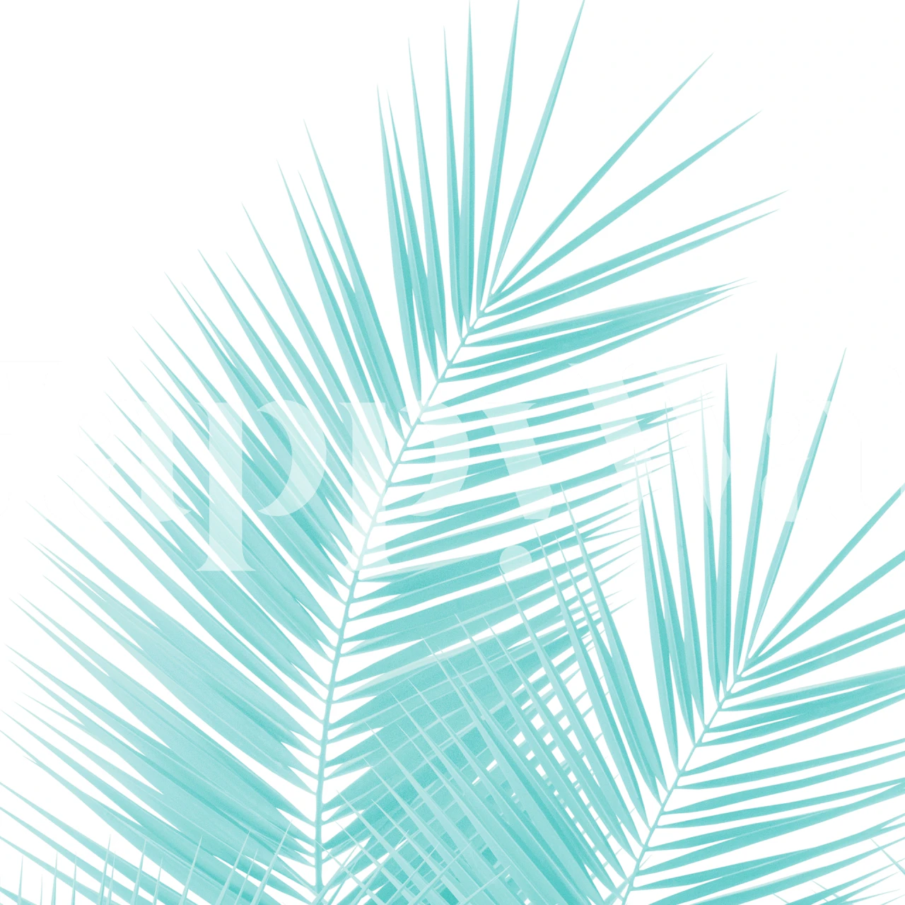 Soft Turquoise Palm Leaves behang in een kamer