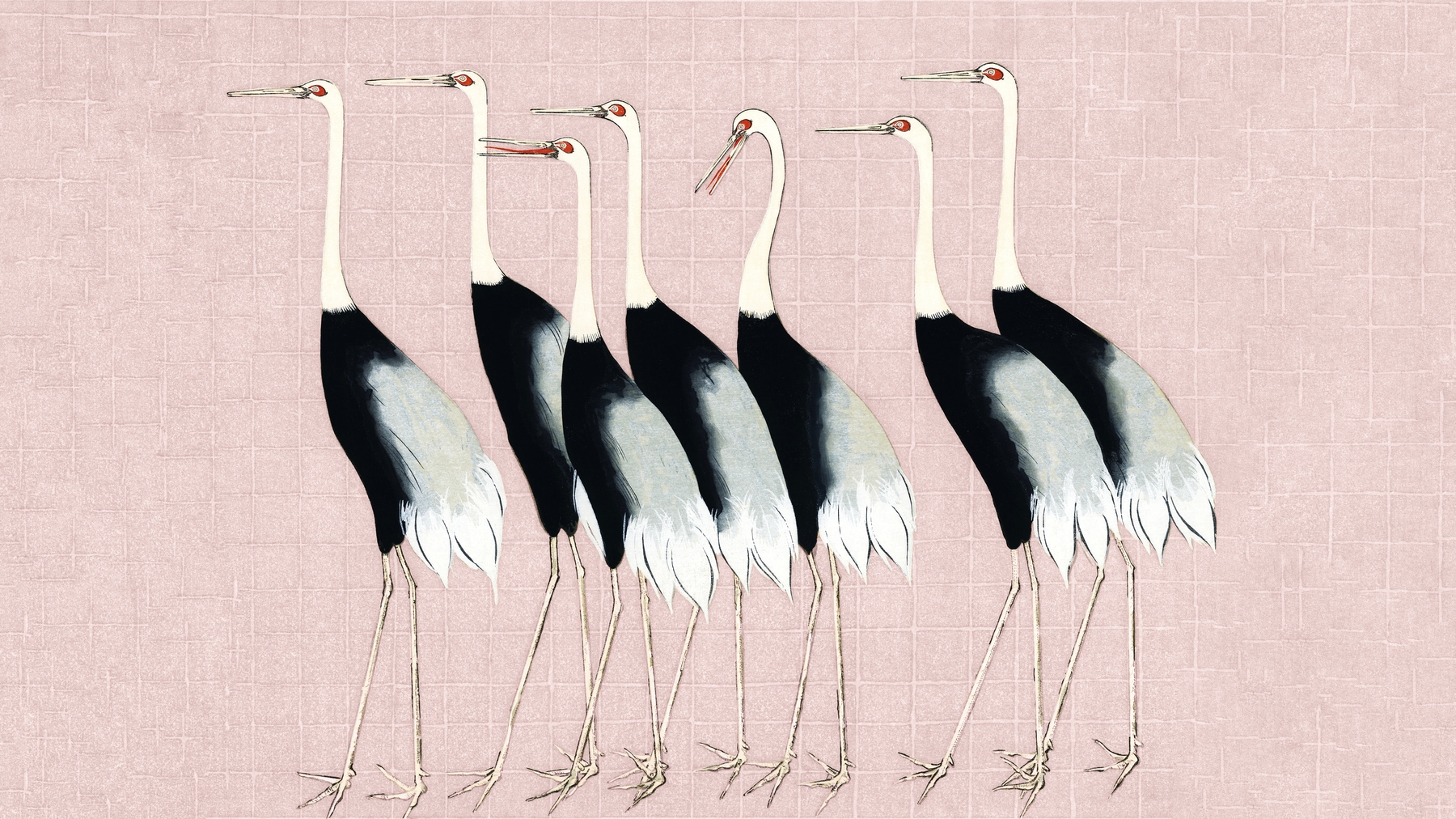 Japan Cranes on Blush Pink Wallpaper | Happywall