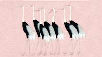 Japan Cranes on Blush Pink tapetit