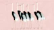 Japan Cranes on Blush Pink