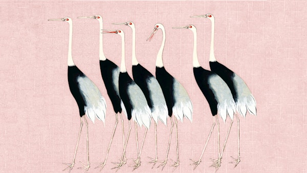 Japan Cranes on Blush Pink