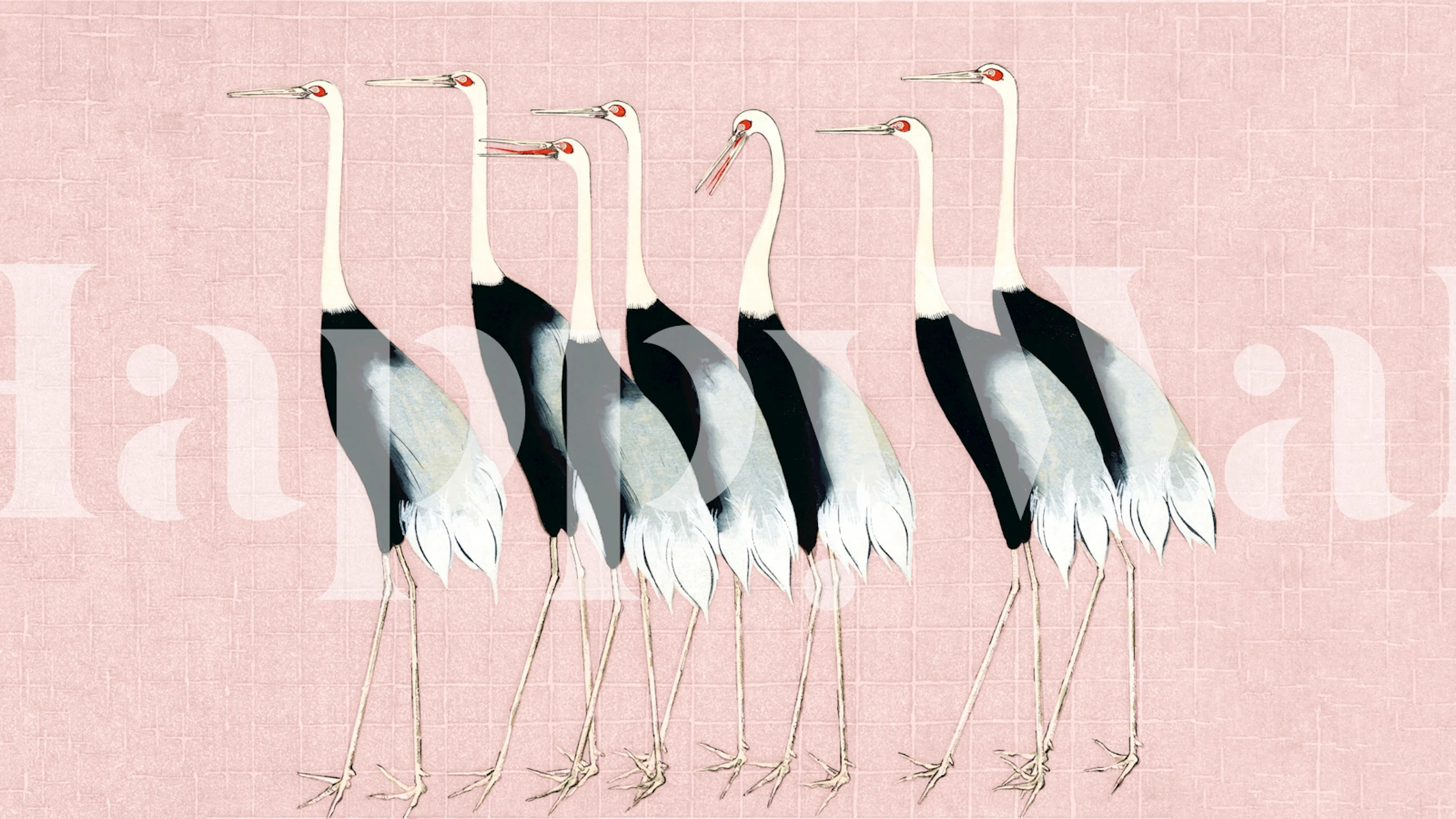 Japan cranes in black and white on blush pink wallpaper