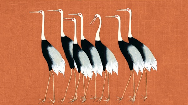 Japan Cranes on Warm Colors
