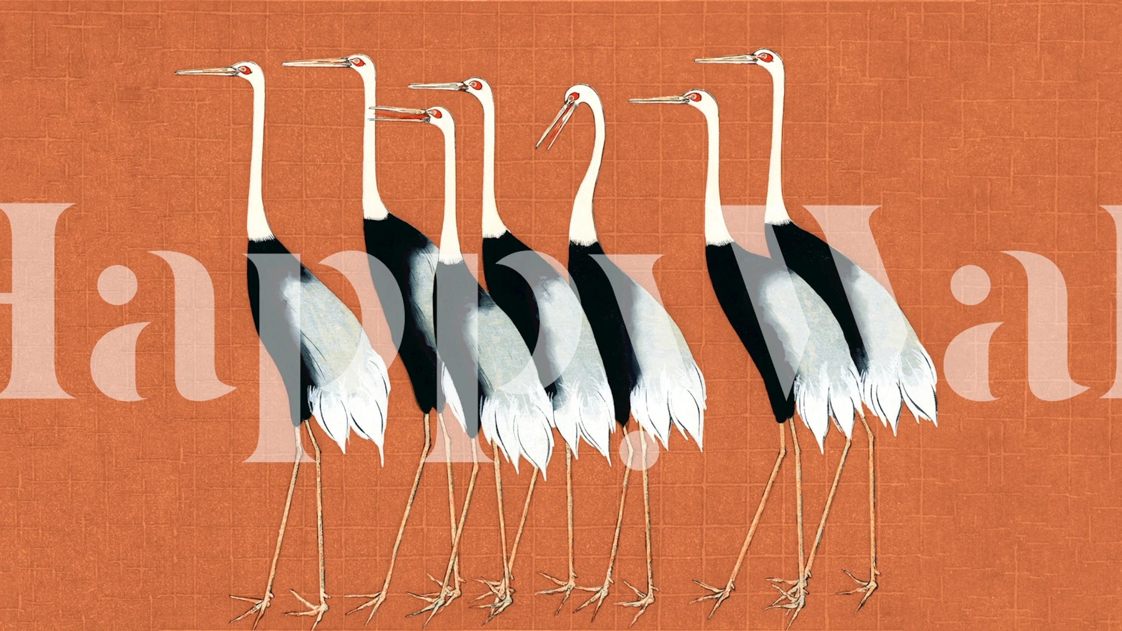 Graceful Japanese cranes standing against a warm terracotta background in modern wall mural design.