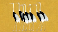 Japan Cranes on Mustard tapete