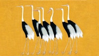 Japan Cranes on Mustard tapete