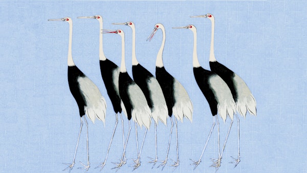 Graceful Cranes on Blue