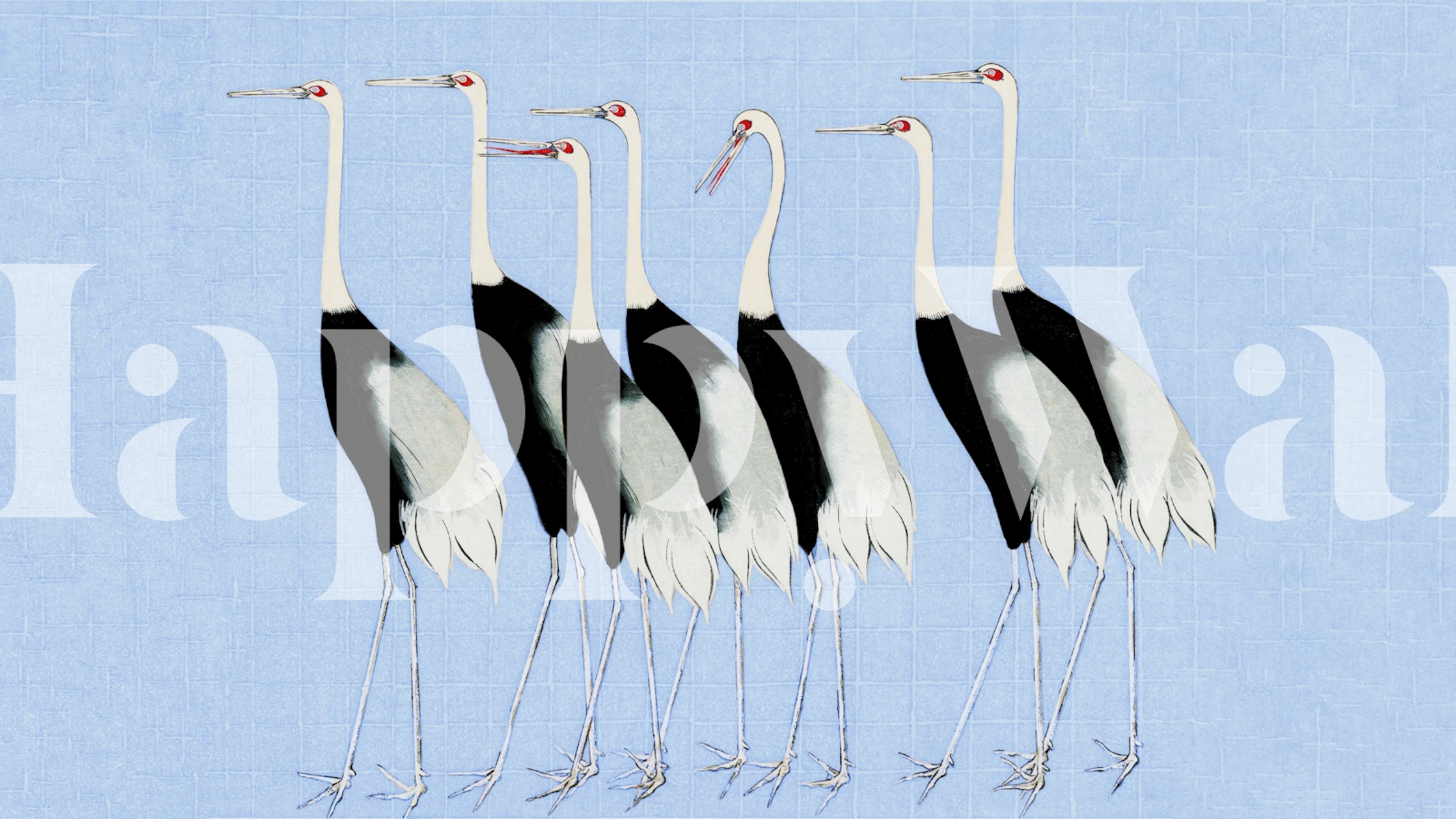 Cranes in black and white on aqua blue background wallpaper