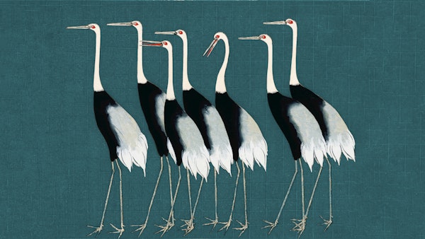 Japan Cranes on Vintage Teal